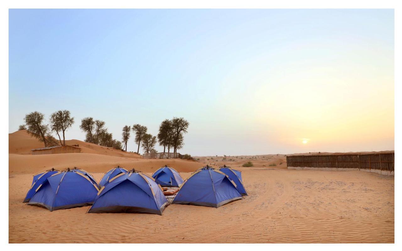 Bedouin Oasis Desert Camp- Khaimah